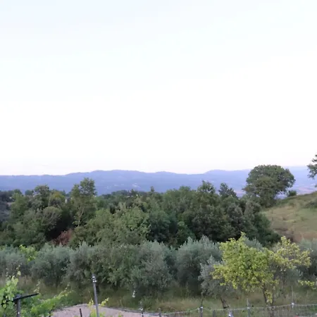 Guest house Ligustro 3*