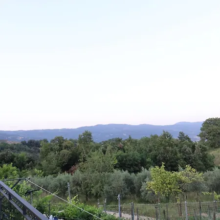 Ligustro Guest house 3*