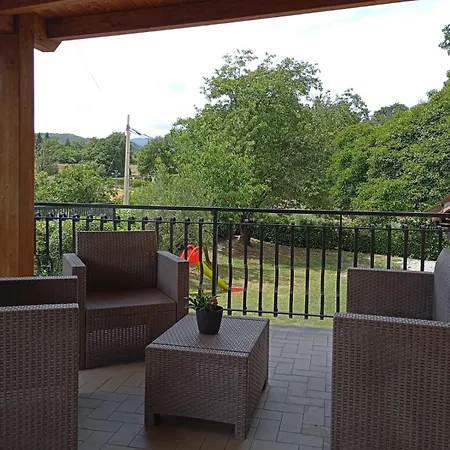 Ligustro Laino Borgo