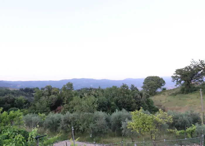 Casa de hóspedes Ligustro 3*