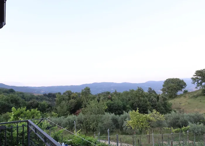 Ligustro Casa de hóspedes 3*